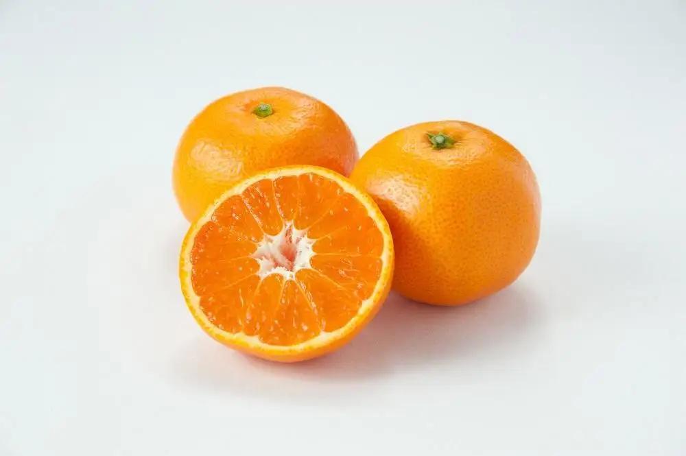 【糖度12度以上！】長崎県産 みかん 味ホープ 約5kg＜期間限定／先行予約＞【2026年11月中旬以降順次発送】｜みかん 柑橘