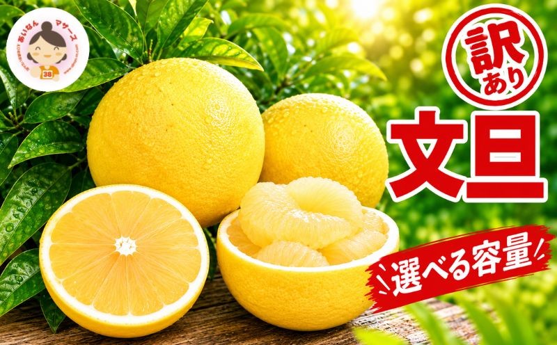 
                  【先行予約：2027年2月中旬～発送】 選べる容量 訳あり 文旦 7kg 10kg （Mサイズ以上 サイズミックス） 7000円 10000円 ぶんたん みかん家庭用 産地直送 国産 農家直送 減農薬 糖度 期間限定 数量限定 特産品 果実 果肉 フルーツ 果物 柑橘 先行 事前 予約 受付 サイズ ミックス あいなんマザーズ 愛南町 愛媛県
                