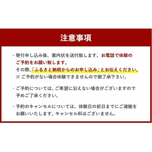体験 ウェイクサーフィン 1時間 [SHOP川口機工 宮崎県 美郷町 31bj0011] アクティビティ 船 貸し切り 貸切 夏 スポーツ体験 スポーツ コース マリンスポーツ 利用券 利用権 宮崎県
