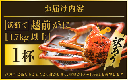 越前がに本場の越前町からお届け！【訳あり】≪浜茹で≫越前がに 極み（きわみ）サイズ（生で約1.7kg～）規格外でも贅沢！食べ応え十分 食べ方しおり付き【訳あり  ゆで 贈答 ギフト 雄 ズワイガニ 越
