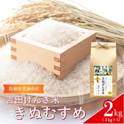 ふるさと納税 雲南市 島根県雲南市産　吉田げんき米　きぬむすめ　2kg(2kg×1)