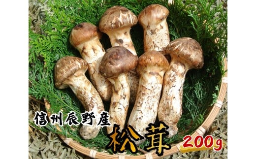 063 辰野産 天然松茸 200g