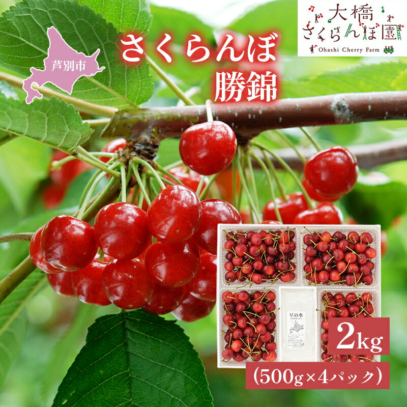 【ふるさと納税】【先行受付】さくらんぼ 赤 勝錦2kg（500g×4パック）サクランボ 赤 大橋 ほまれにしき 希少 大容量 果物類 フルーツ チェリー 　お届け：2026年8月上旬頃～