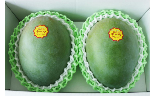 ★品切れ★《先行予約》沖縄県宮古島産 減農薬栽培 キーツマンゴー甘濃（かんのう）2玉【琉球マルシェ】