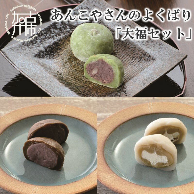 【ふるさと納税】【レビューキャンペーン】【老舗の味】あんこやさんのよくばり「大福セット」《 よもぎ大福 ほうじ茶大福 クリーム大福 あんこ 老舗 お菓子 和菓子 おすすめ 贈答用 プレゼント こだわり セット 詰め合わせ ふるさと納税 贈答用 ギフト プレゼント 贈り物 》