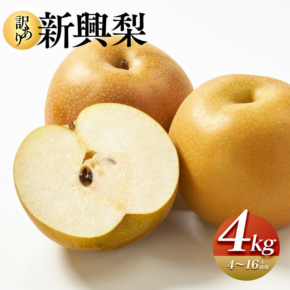 【ふるさと納税】927.【訳あり】新興梨 4kg（4～16玉前後）※2025年10月上旬～11月下旬頃に順次発送予定 | 先行予約 梨 なし 果物 フルーツ くだもの 鳥取県 北栄町 おすすめ 人気 送料無料