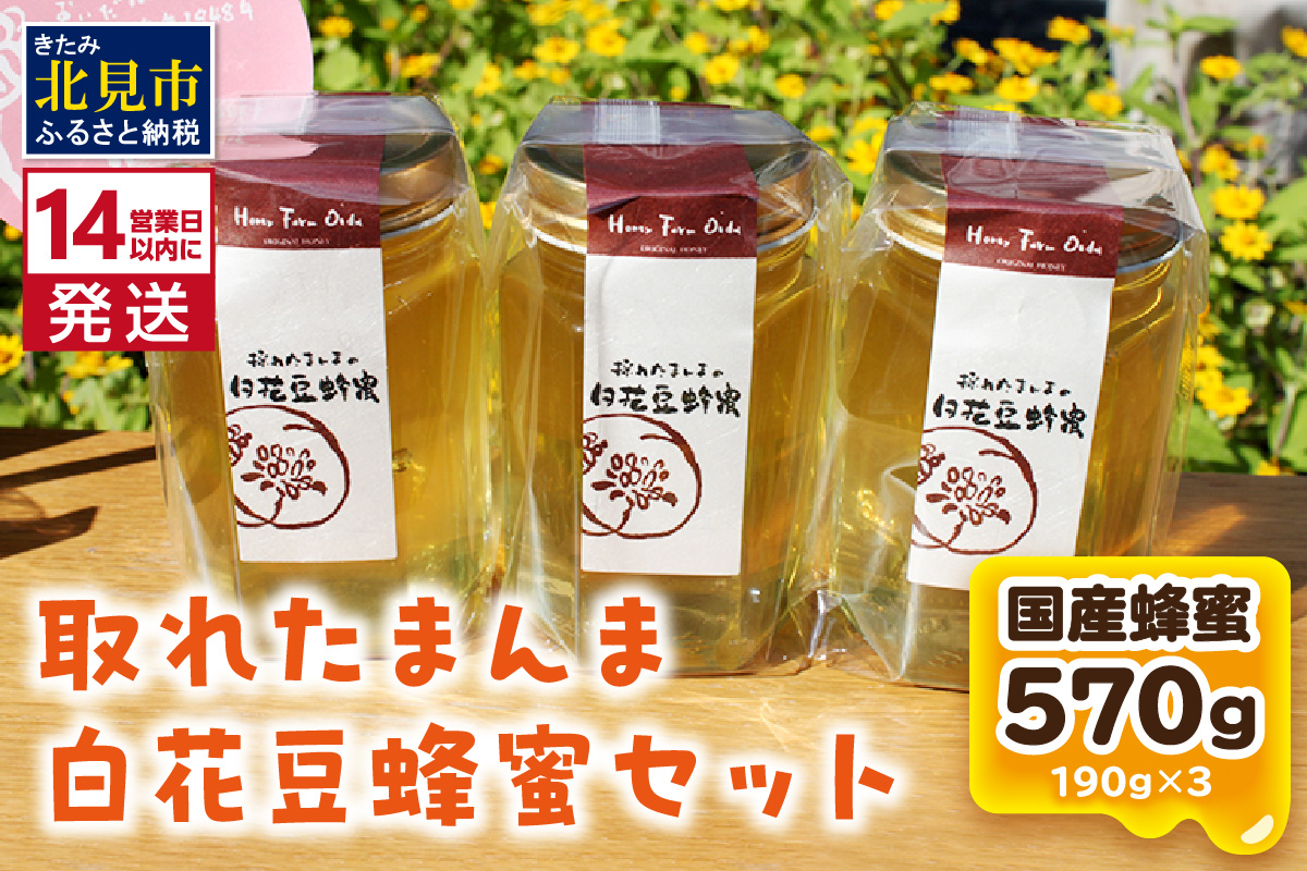 《14営業日以内に発送》採れたまんまの白花豆蜂蜜 190g×3本セット ( 蜂蜜 はちみつ ハチミツ 蜜 甘い 白花豆 蜂 純粋蜂蜜 贅沢 国産 酸味 おいしい おやつ 天然 自然 )【022-0011】