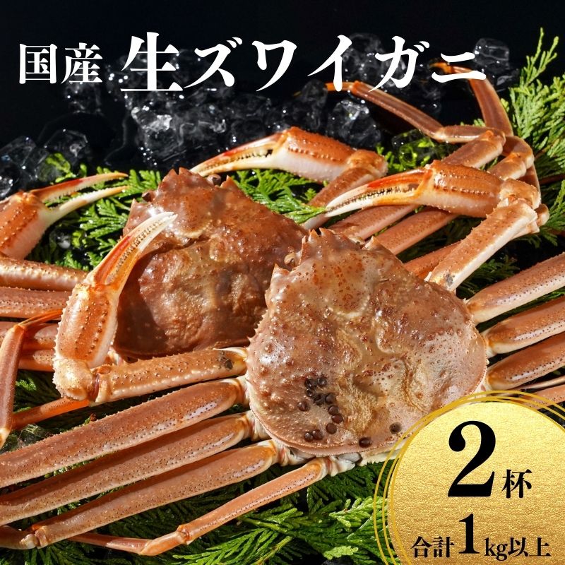【ふるさと納税】〈期間限定〉生 本ズワイガニ 500g以上×2杯 計1kg以上 姿 生きたまま発送 生蟹 糸魚川産 鮮度抜群！獲れたて直送 ずわいがに かに 蟹 ヒスイ水産 国産 日本海 新潟 新鮮 タグ付き 11月から漁開始 ギフトにも おススメ カニ ヒスイ蟹