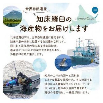 ふるさと納税 羅臼町 【毎月定期便】羅臼の魚おすすめセット(1)全2回 |  | 02