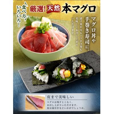 ふるさと納税 室戸市 厳選天然本マグロセット(大トロ・中トロ・赤身の食べ比べ3種セット) |  | 02