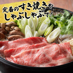 【6ヶ月定期便】宮崎牛すきしゃぶ定期便 全6回【 肉 牛肉 国産 宮崎県産牛肉 定期便 宮崎牛 黒毛和牛 和牛 しゃぶしゃぶ用牛肉 焼しゃぶ すき焼き用牛肉 肩ロース 牛肉ウデ 牛肉モモ 定期便 】