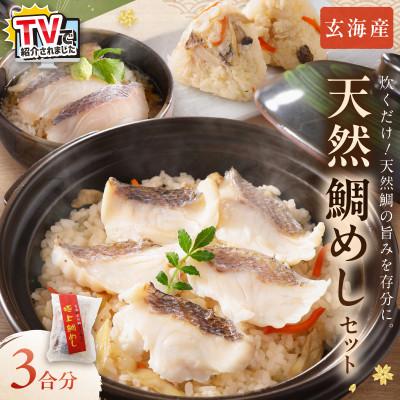 ふるさと納税 中間市 玄海の極上天然鯛めしセット[鯛の切身、だし汁、鯛茶漬け用だし]