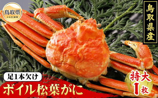 鳥取県産　浜茹で松葉がに　特大（訳あり）【期間限定】_T2600093 ふるさと納税 鳥取 かに カニ 蟹 海鮮 海の幸 冬の味覚 数量限定 訳あり