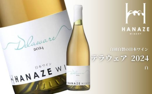 No.1430 花瀬ワイン デラウェア 無濾過 2024〈白〉