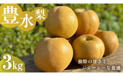 独特の甘さ ジューシーな食感 「 豊水 」 梨 3kg 減農薬 果物 フルーツ なし ナシ [DC007ci]