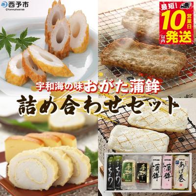ふるさと納税 西予市 <宇和海からの贈り物　おがた蒲鉾 詰め合わせセット(ギフト可)>　海産　じゃこ天　あげ巻　天ぷら　魚