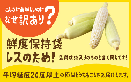 《先行予約》高評価 平均糖度20以上 白い極甘とうもろこし 10～12本 朝採り 人気 甘い 訳あり ワケアリ 簡単調理 まるで フルーツ 送料無料 高レビュー 数量限定 2025年 先行予約