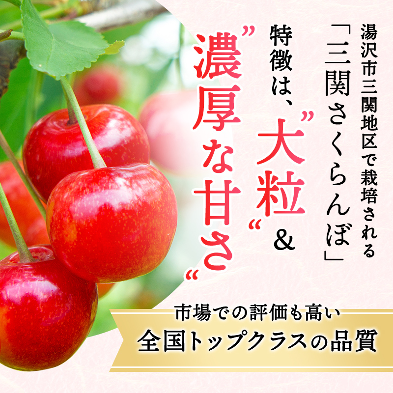 三関産さくらんぼ「紅秀峰」1kg 特選3L[N6-7801]