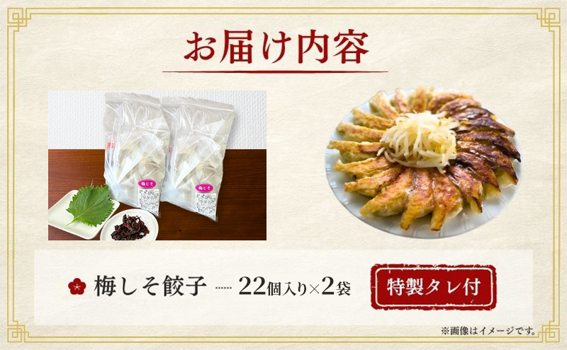 梅しそ餃子44個(22個×2袋)6か月連続お届け 餃子 冷凍餃子 冷凍ギョーザ 手作り餃子 ギョーザ 点心 中華 中華料理 惣菜 簡単調理 加工食品 静岡県 森町