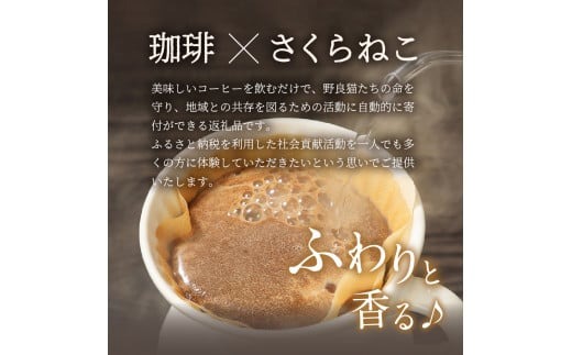 メール便発送【訳ありコーヒー定期便】さくらねこ支援コーヒーセット 3ヶ月 ( 豆 / 粉 / ドリップ )   コーヒー 珈琲 ドリップコーヒー コーヒーセット さくらねこ支援コーヒー 山梨 富士吉田