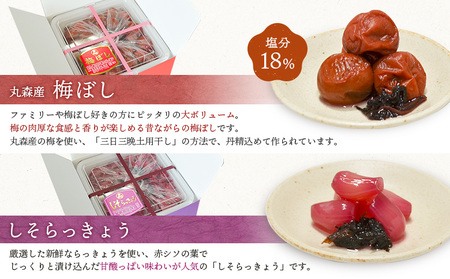 大満足　お漬物２種セット　梅ぼし　しそらっきょう　食べ比べ【02104】