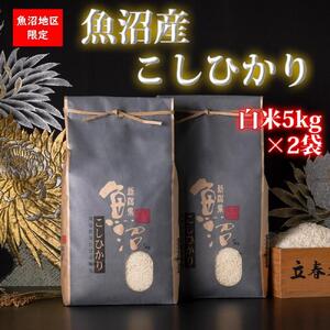 【令和7年産】魚沼産コシヒカリ【白米10kg】【米 お米 こしひかり 南魚沼 米 白米 こめ 新潟 米】