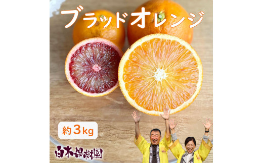 【先行予約】ブラッドオレンジ 約3kg オレンジ みかん ブラッドオレンジ お取り寄せ 高知県 土佐市 先行予約 高知県 土佐市【白木果樹園】[BQAI042]