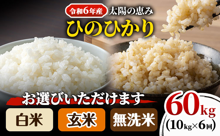 
            O-06_60k　【令和6年産】 岡山県産 ひのひかり 笠岡産 10kg×6回（計60kg） 太陽の恵み （白米　無洗米　玄米からお選びいただけます）
          