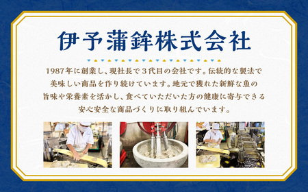 (9)添加物不使用うす塩手押しじゃこ天セット