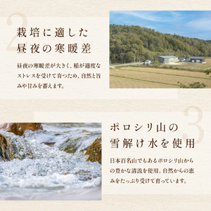 【3ヵ月定期便】北海道南るもい産【ゆめぴりか】(無洗米) 5kg 産地直送 白い お米 おいしい 無洗 特A R011-070