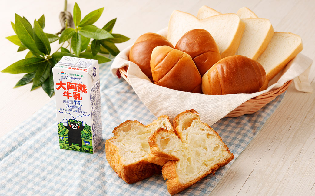 【1ヶ月毎10回定期便】大阿蘇牛乳 200ｍl 計240本（24本×10回） 牛乳 乳飲料 生乳100%