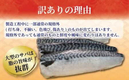 訳あり 塩さば フィーレ 約3kg 冷凍 おかず 惣菜 ｻﾊﾞ 鯖 海鮮 魚 大容量 鯖切身 鯖切り身 さば切身 さば切り身 切り身 切身 魚介 おつまみ 弁当 人気 不揃い 規格外 傷 冷凍食品 グ