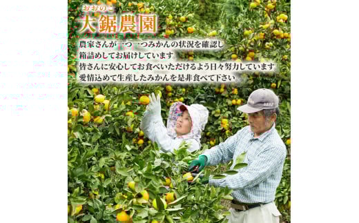 N-44 大鋸農園の甘果坊 １０ｋｇ