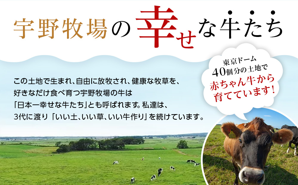 【定期便3ヶ月】ウーノアイス 15個セット