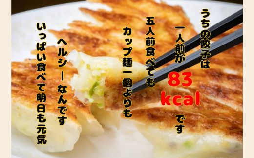 たかすみ 冷凍生餃子96個