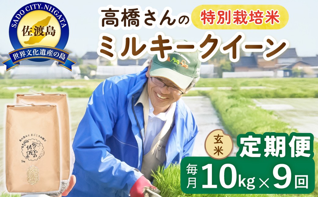 
                  【9か月定期便 ミルキークイーン】佐渡島産ミルキークイーン 玄米 合計90kg（10kg（5kg×2袋）×全9回）令和8年産 新米 特別栽培米 | 新潟県産ミルキークイーン 新潟産ミルキークイーン 佐渡産ミルキークイーン みるきーくいーん お米 米 玄米 げんまい ブランド米 おこめ コメ 10キロ にいがた さど 新潟県 佐渡市
                