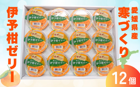 寒づくり伊予柑ゼリー詰合せ（平箱）12個入り｜B155