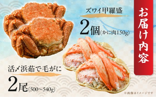 【数量限定】＜網走前浜産＞贅沢かにセット【活〆浜茹で毛がに 2尾(500~540g)・本ズワイガニ甲羅盛り2個(かに肉150g)】 ABAI054