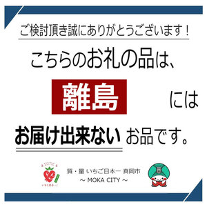 Yogibo Ghost Premium チョコレートブラウン（ヨギボー ゴースト プレミアム） 栃木県 真岡市 送料無料