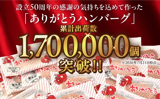 【10月発送】北海道産ありがとうハンバーグセット（ありがとうハンバーグ90g×12・チーズ90ｇ×6）