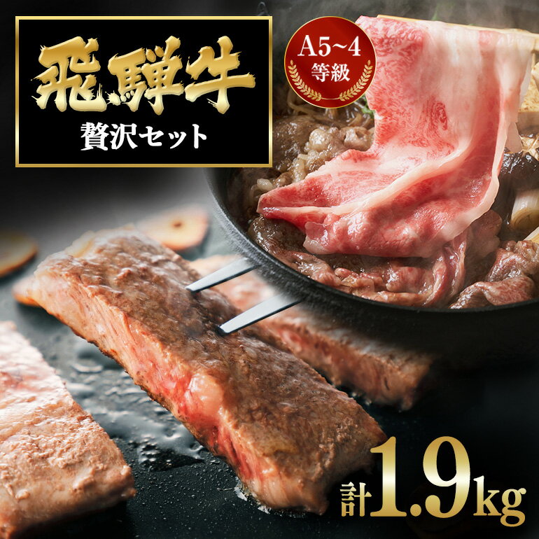 【ふるさと納税】 飛騨牛 A5～4等級 贅沢セット E-8/A-21