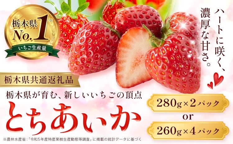 
                  いちご とちあいか 選べる 内容量 2パック 560g 4パック 1040g 《2025年12月下旬-2026年3月上旬頃出荷》 JAおやま 栃木県 野木町 イチゴ 苺 果物 フルーツ ハート型 贈答用 プレゼント スイーツ ケーキ 手作り トッピング ハート【栃木県共通返礼品】
                