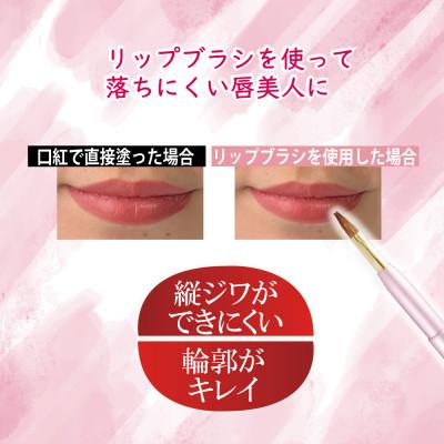 ふるさと納税 松原市 イタチ×馬毛 発色が良く塗りやすい リップブラシ (ピンク) |  | 02