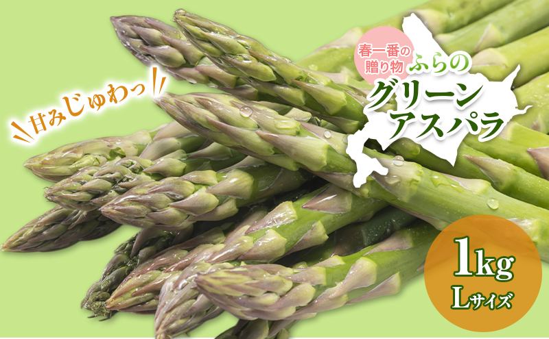 【令和9年産】アスパラガス グリーンアスパラ 1kg Lサイズ アスパラ 野菜 北海道 上富良野町 ふらの農業協同組合