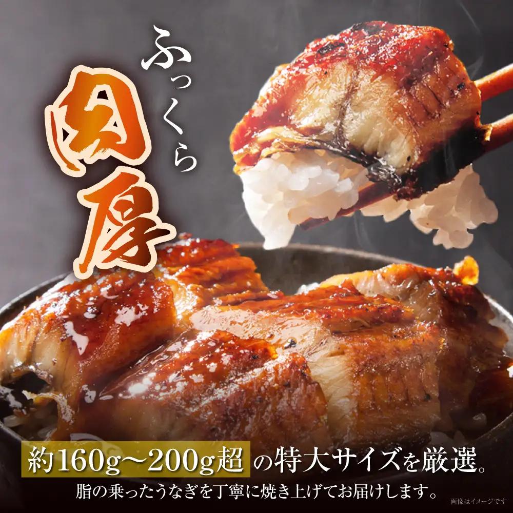 Z61-74 国産 うなぎ 蒲焼特大サイズ4尾（計800g以上） うなぎ