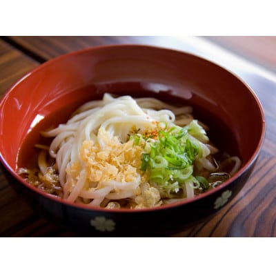 へじや製麺のうどん生麺5食セット 太麺タイプ　ぶっかけ(冷)用特製だしつゆ付　与謝野町より【配送不可地域：離島】【1637134】