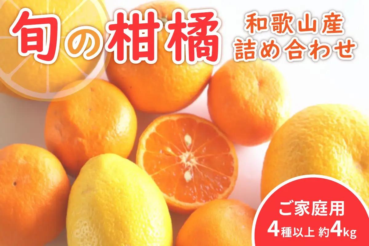 柑橘詰め合わせセット 家庭用４種以上 約4kg 和歌山産≪先行予約2027年1月下旬頃より順次発送分≫【1199-1】