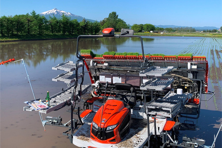 令和7年産 つがる市産 はれわたり 白米 2kg｜2025年産 はれわたり 白米 お米 米 コメ 精米 農家 特A 青森 新米 [0930]