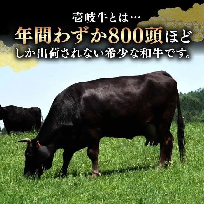 A5・A4ランク サーロインステーキ 200g×2枚 ヒレステーキ 120g×2枚《壱岐市》【壱岐市ふるさと商社】 ヒレ サーロイン ステーキ 赤身 和牛 焼肉 BBQ [JAA031]