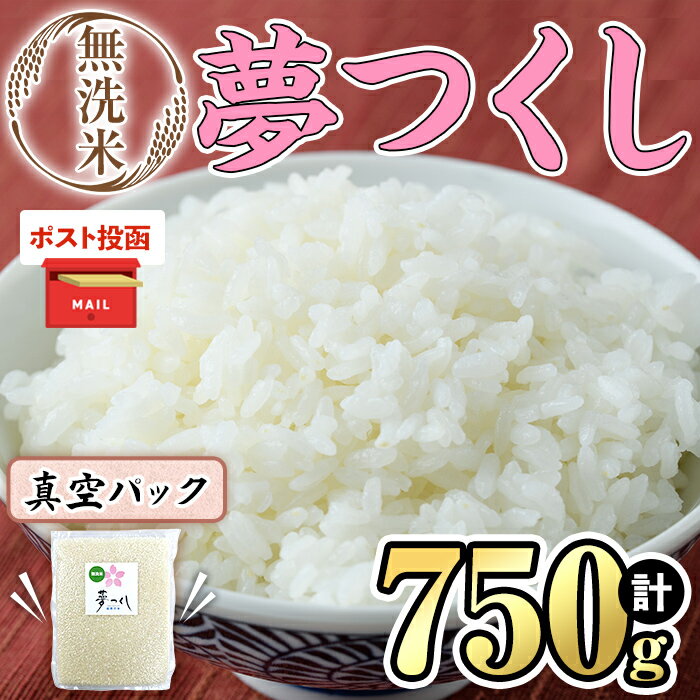 【ふるさと納税】＜ポスト投函・数量限定＞無洗米・真空パック「夢つくし」(750g) お米 おこめ 米 こめ コメ 白米 無洗米 福岡県産 夢つくし 真空 真空パック 750グラム 5合 ごはん ご飯 常温 常温保存 非常食 防災 災害備蓄 キャンプ アウトドア【ksg1687】【朝ごはん本舗】